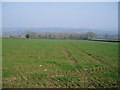 Arable land near Two Ash Hill