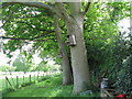 Nesting boxes on Honeywood Farm