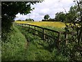 Meadow at Churcham