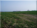 Undefined footpath to Tatworth