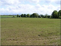 M4408 : Newly seeded grass field - Raheen Kilkelly Townland by Mac McCarron