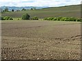 Fields at Balmerino