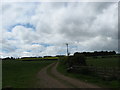 Track in to the fields at East Nisbet Farm