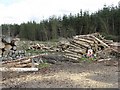 Log pile on the Fingland road