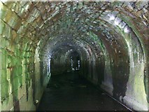 SE2768 : Tunnel Vision by Matthew Hatton