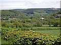 Gwili Vale from Glancorrwg