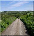 Track between Llwyncalenig &Penwaun.