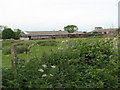 Pastures beside the footpath