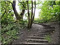 Steps out of Gower Hey Wood