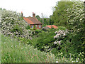 Cottage in Southgate