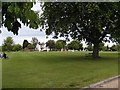 Cricket on the village green