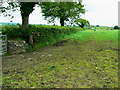 Farmland north of the A40, near Pwll-Trap