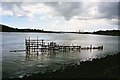 S6713 : River Suir, near Belview, Co. Kilkenny by Kieran Campbell