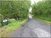 H5172 : Crocknacor Road by Kenneth  Allen