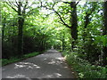 Road between the B3440 and B3181 near Bridwell