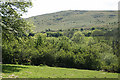 Widecombe in the Moor: towards Corndon Down