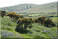 Widecombe in the Moor: towards Corndon Tor