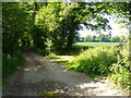 Bridleway by North Wood Cottages