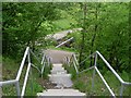Steps into Darnley Mill Country Park