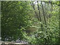 River Camlad upstream at Whittery Bridge