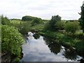 White Cart Water, Pollok Country Park