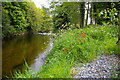 River Bann at Lisnamulligan