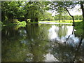 River Mimram near Poplars Green