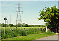 Electricity pylons, seen from Tanhouse Road