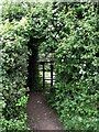 A kissing gate with limited headroom on the Ridgeway