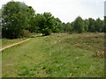 Dewlands Common, footpath