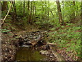 The brook which runs to the river Severn, Newtown, Powys