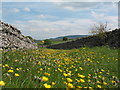 Green [or yellow] lane, Seata