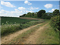 Track to Sheep Yard