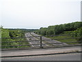 Views southwards along the A3 from Hawkley Road Bridge