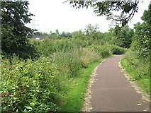 NS6262 : Clyde Walkway near Dalmarnock by Richard Webb