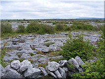 M3705 : Limestone pavement - Killinny West Townland by Mac McCarron