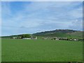 Farmland by Stewarton