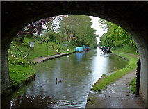 SJ8512 : Shropshire Union Canal at Wheaton Aston, Staffordshire by Roger  D Kidd