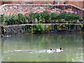 Horseshoe weir at Hythe Bridge