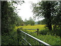 Looking from the footpath to Cheesecombe Farm over to Hillclere