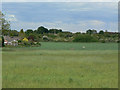 Fields near Silverdale (2)