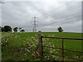 Gate into farmland from Morthen Hall Lane