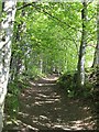 Ben Vrackie path