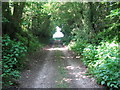 Track and footpath north to Wappingthorn Wood