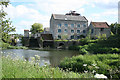 Kingsbury Episcopi: Thorney Mill