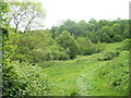 The Hangers Way just before Cheesecombe Farm