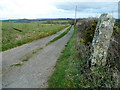 Track to Trevidgeowe Farm