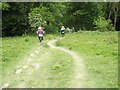 Wessex 100  competitors reach the bottom of Shoulder of Mutton Hill