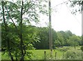 Distant Wessex 100  competitors disappearing along Island Farm Lane