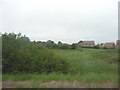 West Wiltshire : Grassy Field & Housing Estate